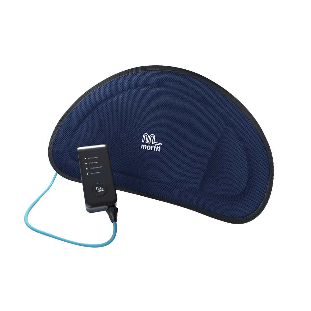 Morfit Electric Adjustable Lumbar Support